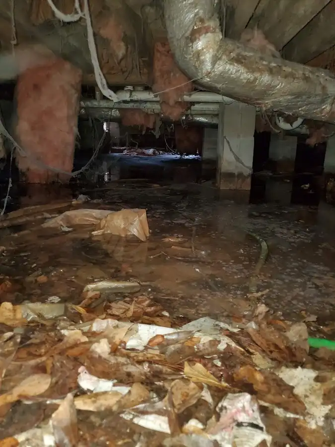 Crawl space flood assessment for Commercial Water Damage Restoration in Sunset