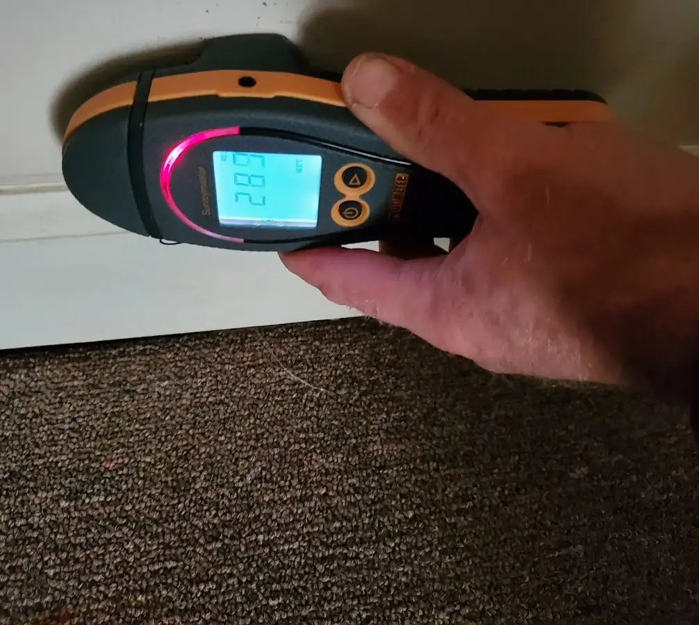 Moisture detection at baseboard during Sewage Cleanup & Sanitation in Sunset